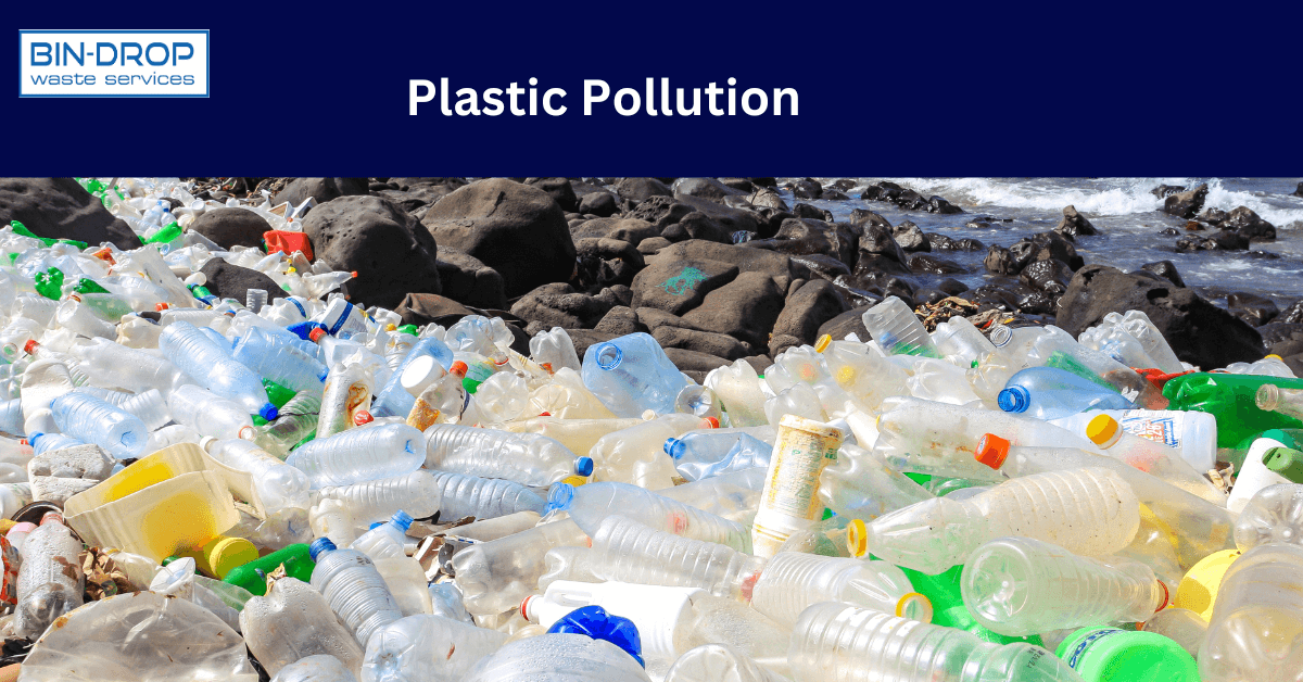 Plastic Pollution Damage, Disposal and Management