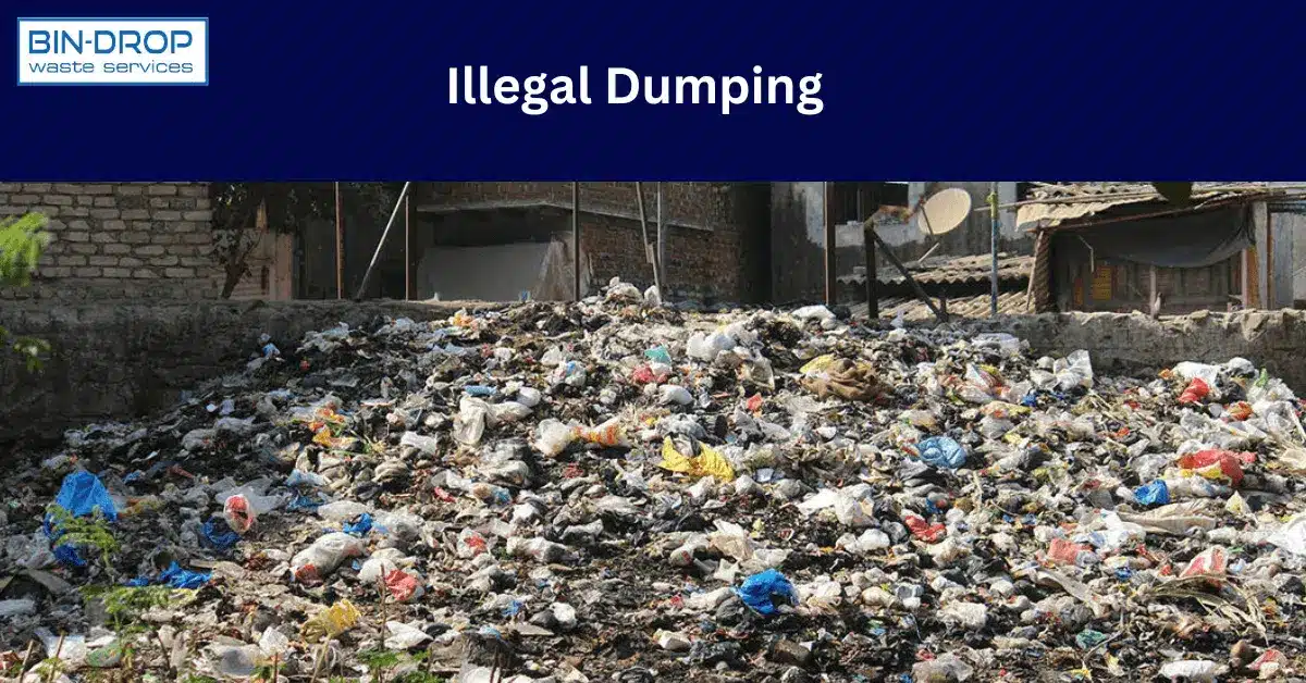 What is Illegal Dumping and What are the Environmental Impacts