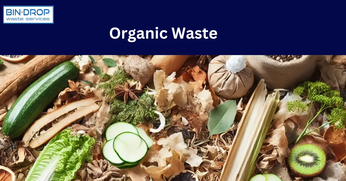 Organic Waste Examples, Problems and Disposal